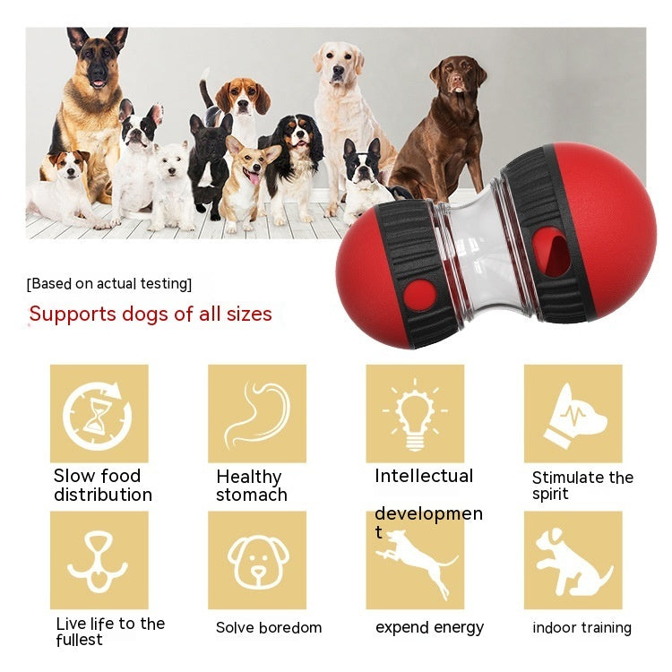 Grupo de perros junto al juguete interactivo de comida, ideal para entretenimiento y entrenamiento.  